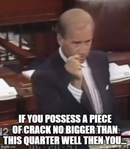 Ballin | IF YOU POSSESS A PIECE OF CRACK NO BIGGER THAN THIS QUARTER WELL THEN YOU... | image tagged in crack,crackhead,ballin,dope,hunter biden,drug dealer | made w/ Imgflip meme maker