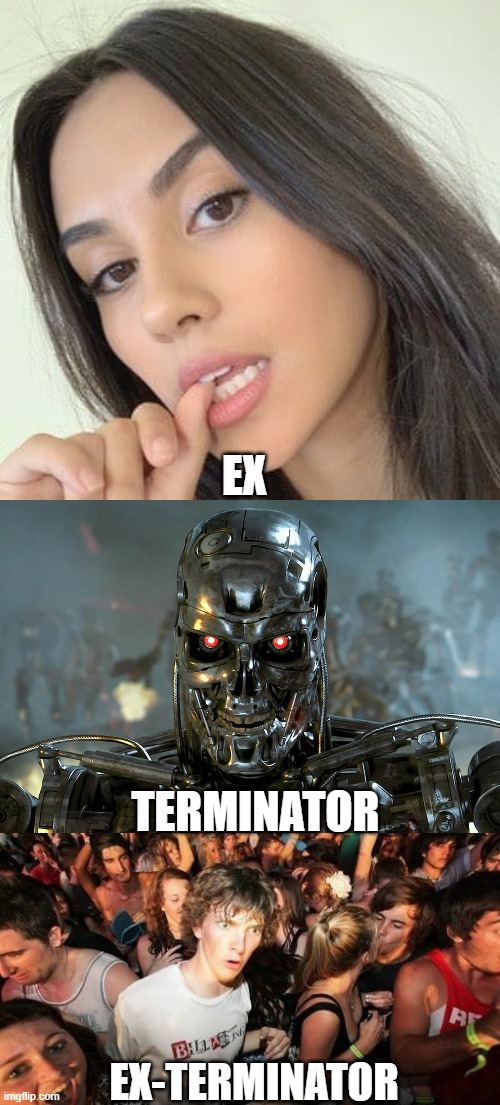 EX; TERMINATOR; EX-TERMINATOR | image tagged in sudden clarity clarence,terminator | made w/ Imgflip meme maker