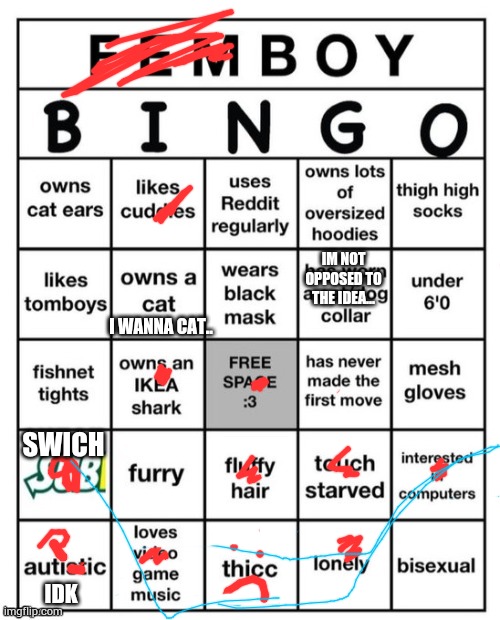 Are alot of chiks into femboys? If so i might become one just for that | IM NOT OPPOSED TO THE IDEA... I WANNA CAT.. SWICH; IDK | image tagged in femboy bingo | made w/ Imgflip meme maker