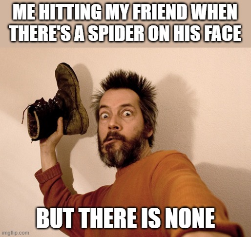 Menace | ME HITTING MY FRIEND WHEN THERE'S A SPIDER ON HIS FACE; BUT THERE IS NONE | image tagged in hit you with a shoe | made w/ Imgflip meme maker