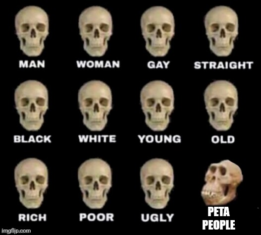 idiot skull | PETA PEOPLE | image tagged in idiot skull | made w/ Imgflip meme maker