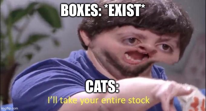 BOXES: *EXIST* CATS: | image tagged in i'll take your entire stock | made w/ Imgflip meme maker