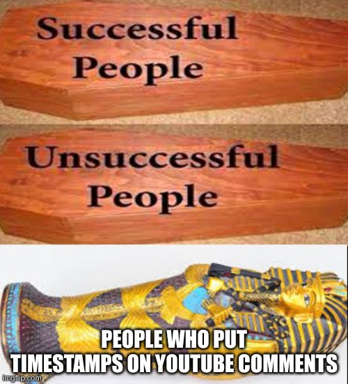 It saves a lot of time | PEOPLE WHO PUT TIMESTAMPS ON YOUTUBE COMMENTS | image tagged in coffin vs sarcophagus,youtube comments | made w/ Imgflip meme maker