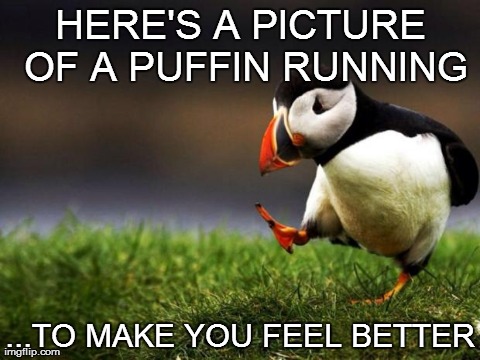 Unpopular Opinion Puffin Meme | HERE'S A PICTURE OF A PUFFIN RUNNING ...TO MAKE YOU FEEL BETTER | image tagged in memes,unpopular opinion puffin | made w/ Imgflip meme maker