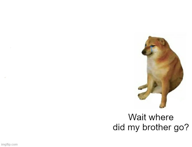 It was all in Cheems's imagination | Wait where did my brother go? | image tagged in memes,buff doge vs cheems,plot twist,shitpost | made w/ Imgflip meme maker