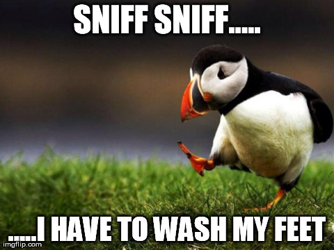 Unpopular Opinion Puffin Meme | SNIFF SNIFF..... .....I HAVE TO WASH MY FEET | image tagged in memes,unpopular opinion puffin | made w/ Imgflip meme maker