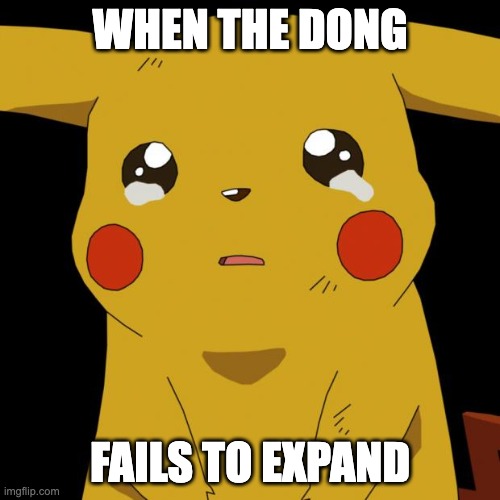 Pikachu crying | WHEN THE DONG; FAILS TO EXPAND | image tagged in pikachu crying | made w/ Imgflip meme maker