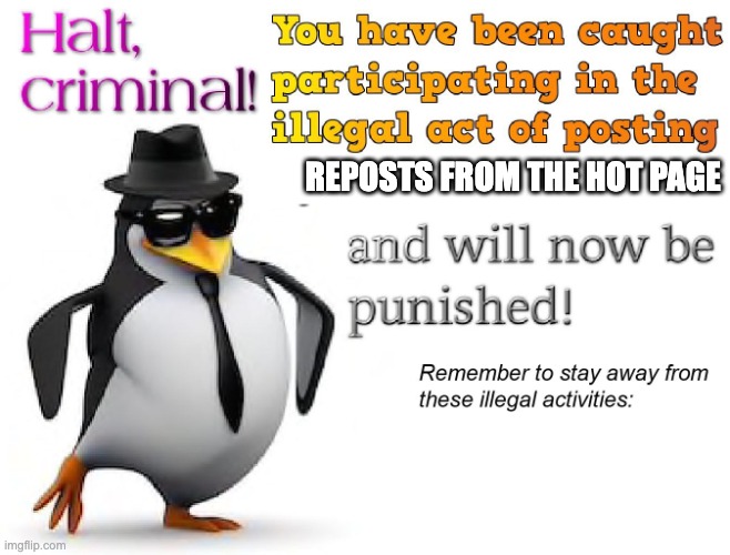 halt criminal! | REPOSTS FROM THE HOT PAGE | image tagged in halt criminal | made w/ Imgflip meme maker