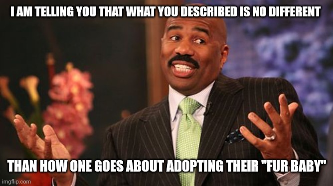 Steve Harvey Meme | I AM TELLING YOU THAT WHAT YOU DESCRIBED IS NO DIFFERENT THAN HOW ONE GOES ABOUT ADOPTING THEIR "FUR BABY" | image tagged in memes,steve harvey | made w/ Imgflip meme maker