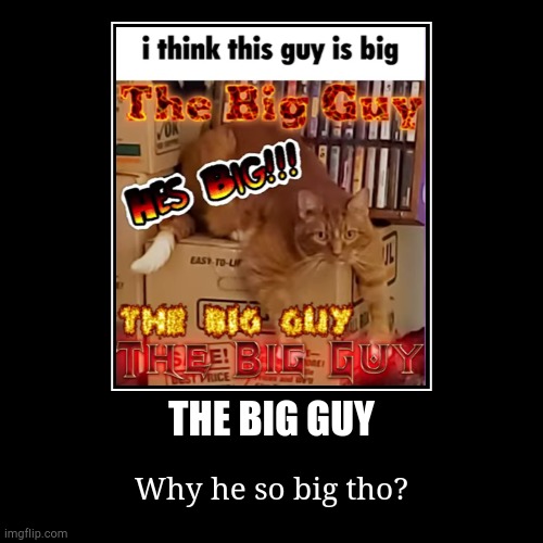 The Big Guy | THE BIG GUY | Why he so big tho? | image tagged in funny,demotivationals,cats | made w/ Imgflip demotivational maker