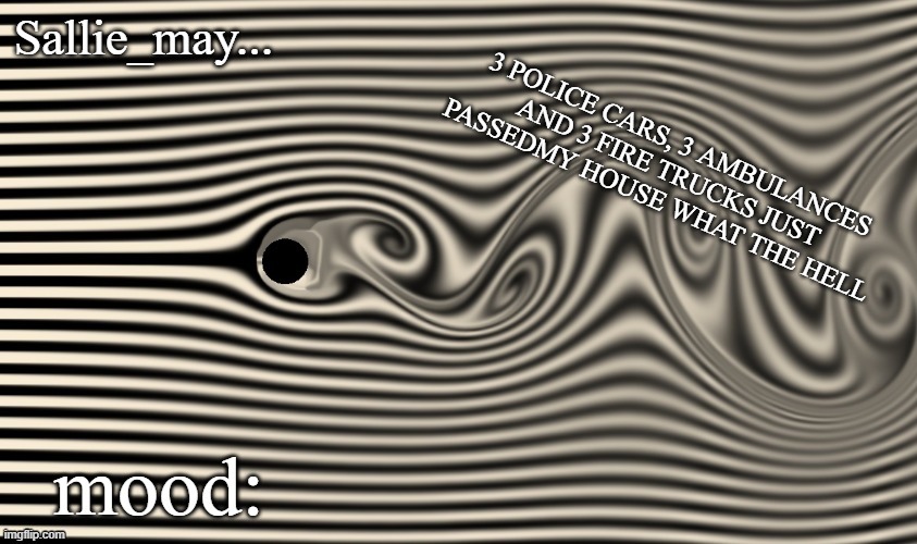 sallie may temp | 3 POLICE CARS, 3 AMBULANCES AND 3 FIRE TRUCKS JUST PASSEDMY HOUSE WHAT THE HELL | image tagged in sallie may temp | made w/ Imgflip meme maker