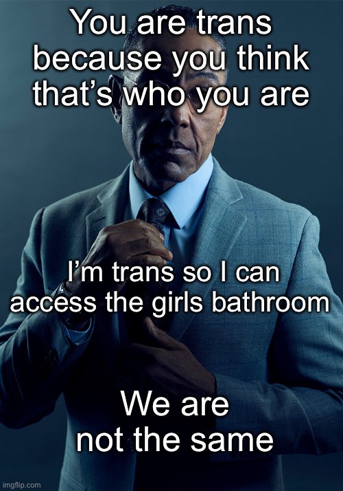 5 comments with the word “yes” and this goes in lgbtq | You are trans because you think that’s who you are; I’m trans so I can access the girls bathroom; We are not the same | image tagged in gus fring we are not the same | made w/ Imgflip meme maker