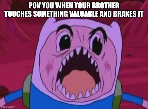 Finn The Human | POV YOU WHEN YOUR BROTHER TOUCHES SOMETHING VALUABLE AND BRAKES IT | image tagged in memes,finn the human | made w/ Imgflip meme maker