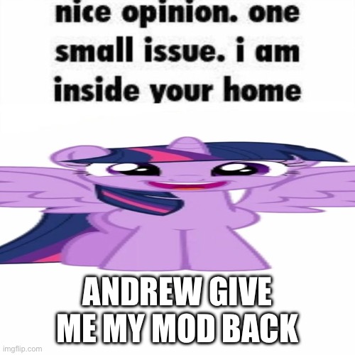 Twilight sparkle ratio | ANDREW GIVE ME MY MOD BACK | image tagged in twilight sparkle ratio | made w/ Imgflip meme maker