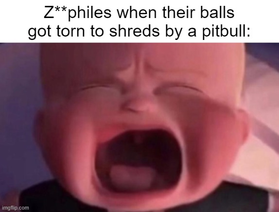 boss baby crying | Z**philes when their balls got torn to shreds by a pitbull: | image tagged in boss baby crying | made w/ Imgflip meme maker