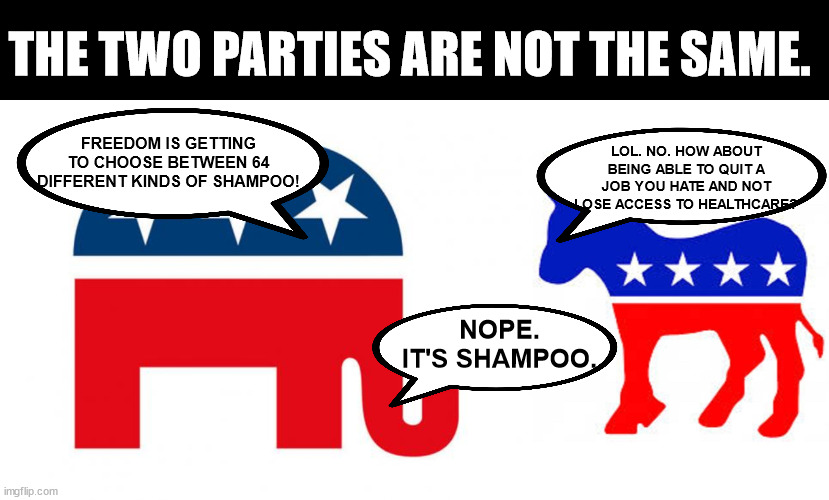 THE TWO PARTIES ARE NOT THE SAME. LOL. NO. HOW ABOUT BEING ABLE TO QUIT A JOB YOU HATE AND NOT LOSE ACCESS TO HEALTHCARE? FREEDOM IS GETTING TO CHOOSE BETWEEN 64 DIFFERENT KINDS OF SHAMPOO! NOPE. IT'S SHAMPOO. | image tagged in republican,democrat donkey | made w/ Imgflip meme maker