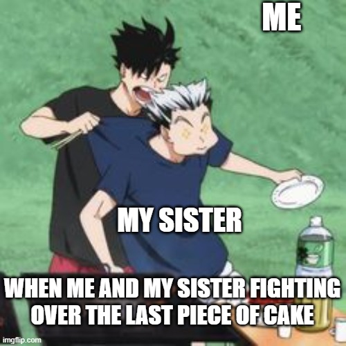 me and my sister fighting | ME; MY SISTER; WHEN ME AND MY SISTER FIGHTING OVER THE LAST PIECE OF CAKE | image tagged in bokuto and kuroo fighting | made w/ Imgflip meme maker