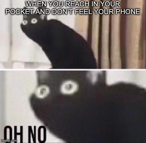 Eya | WHEN YOU REACH IN YOUR POCKET AND DON’T FEEL YOUR PHONE | image tagged in oh no cat,memes | made w/ Imgflip meme maker