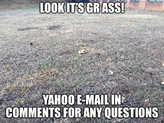 Gr ass | LOOK IT’S GR ASS! YAHOO E-MAIL IN COMMENTS FOR ANY QUESTIONS | made w/ Imgflip meme maker
