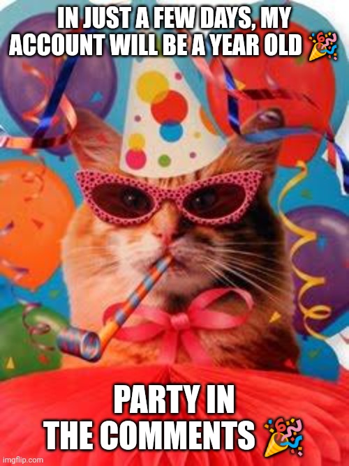 we did it, anyone have the catn- I mean pizza? ? | IN JUST A FEW DAYS, MY ACCOUNT WILL BE A YEAR OLD 🎉; PARTY IN THE COMMENTS 🎉 | image tagged in cat celebration,skeebles,yay | made w/ Imgflip meme maker