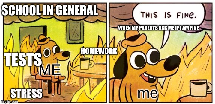 This Is Fine Meme | SCHOOL IN GENERAL; WHEN MY PARENTS ASK ME IF I AM FINE; HOMEWORK; TESTS; ME; me; STRESS | image tagged in memes,this is fine | made w/ Imgflip meme maker