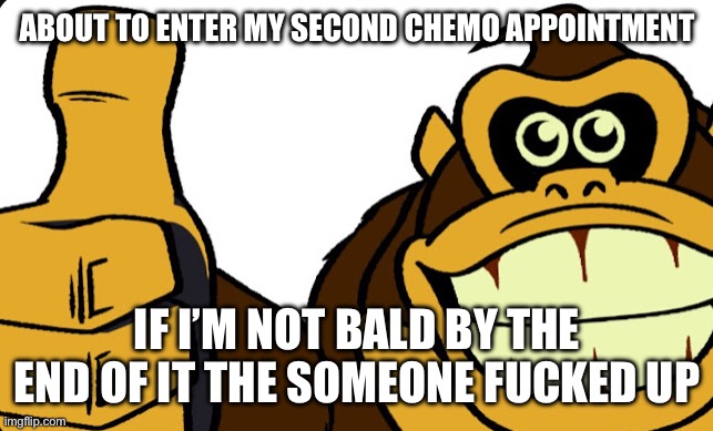 Donkey Kong Okay | ABOUT TO ENTER MY SECOND CHEMO APPOINTMENT; IF I’M NOT BALD BY THE END OF IT THE SOMEONE FUCKED UP | image tagged in donkey kong okay | made w/ Imgflip meme maker