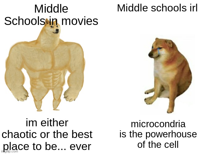 Buff Doge vs. Cheems | Middle Schools in movies; Middle schools irl; im either chaotic or the best place to be... ever; microcondria is the powerhouse of the cell | image tagged in memes,buff doge vs cheems | made w/ Imgflip meme maker