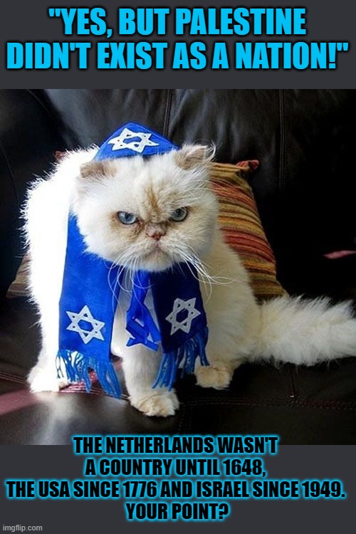 This #lolcat wonders if it matters that Palestine once wasn't a country | "YES, BUT PALESTINE DIDN'T EXIST AS A NATION!"; THE NETHERLANDS WASN'T 
A COUNTRY UNTIL 1648, 
THE USA SINCE 1776 AND ISRAEL SINCE 1949. 
YOUR POINT? | image tagged in palestine,double standards,hypocrisy,stupid people,lolcat | made w/ Imgflip meme maker