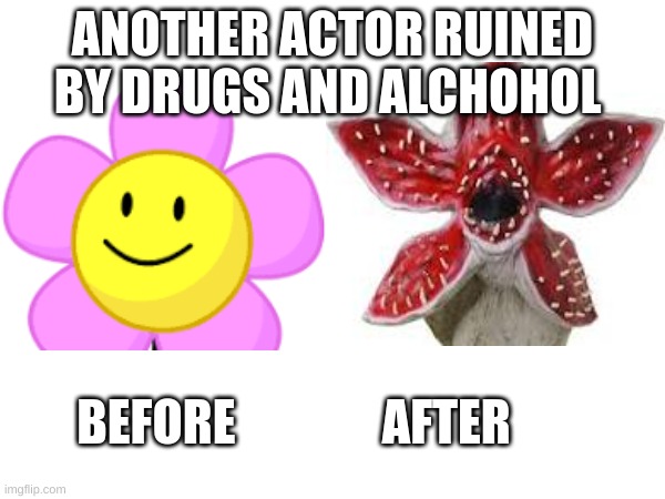 sad | ANOTHER ACTOR RUINED BY DRUGS AND ALCHOHOL; BEFORE               AFTER | image tagged in bfdi,bfb,tpot,funny meme | made w/ Imgflip meme maker