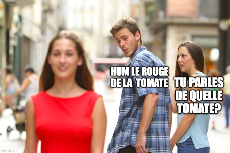 nutrition | HUM LE ROUGE DE LA  TOMATE; TU PARLES DE QUELLE TOMATE? | image tagged in memes,distracted boyfriend | made w/ Imgflip meme maker