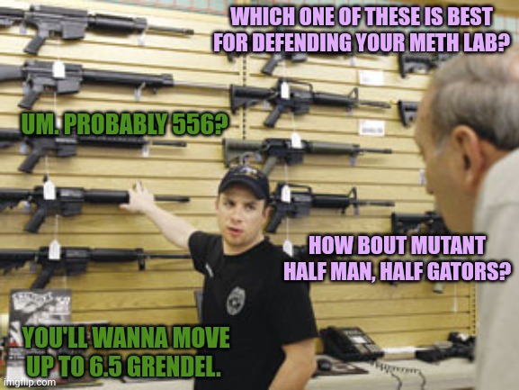 Florida Problems | WHICH ONE OF THESE IS BEST FOR DEFENDING YOUR METH LAB? UM. PROBABLY 556? HOW BOUT MUTANT HALF MAN, HALF GATORS? YOU'LL WANNA MOVE UP TO 6.5 GRENDEL. | image tagged in florida man,problems | made w/ Imgflip meme maker