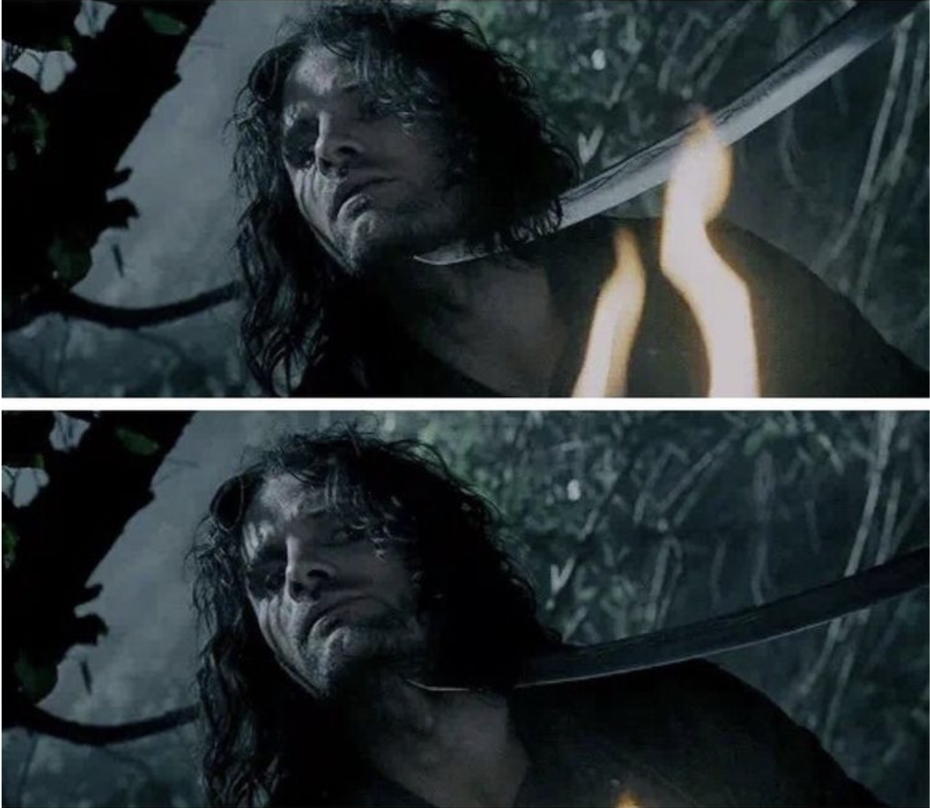 Aragorn gets "captured" Blank Meme Template