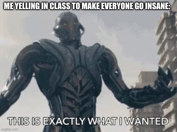 HAHAHA | ME YELLING IN CLASS TO MAKE EVERYONE GO INSANE: | image tagged in this is exactly what i wanted | made w/ Imgflip meme maker