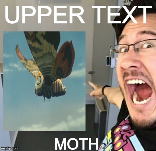 MOTH | UPPER TEXT; MOTH | image tagged in markiplier pointing | made w/ Imgflip meme maker