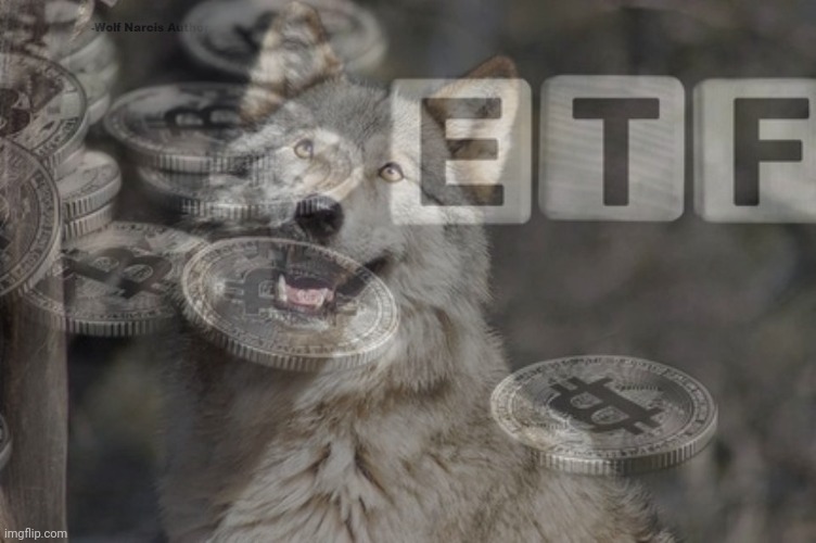 Optimistic Moon Moon Wolf Vanadium Wolf | image tagged in optimistic moon moon wolf vanadium wolf,bitcoin,moon landing,sec,etf | made w/ Imgflip meme maker