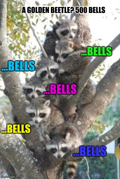 Animal Crossing Lore | A GOLDEN BEETLE? 500 BELLS; ...BELLS; ...BELLS; ...BELLS; ...BELLS; ...BELLS | image tagged in timmy,and,tommy,lore,animal crossing | made w/ Imgflip meme maker