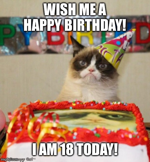 I’m legally an adult | WISH ME A HAPPY BIRTHDAY! I AM 18 TODAY! | image tagged in memes,grumpy cat birthday,grumpy cat | made w/ Imgflip meme maker