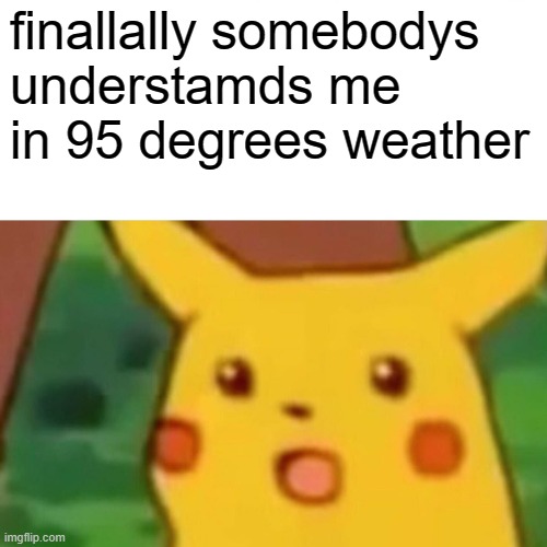 finallally somebodys understamds me in 95 degrees weather | image tagged in memes,surprised pikachu | made w/ Imgflip meme maker