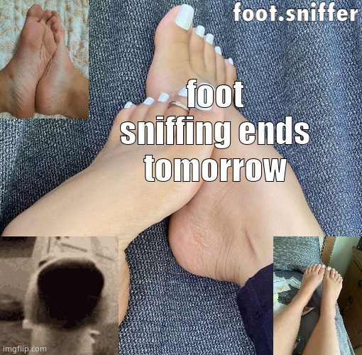 foot.sniffer announcement template | foot sniffing ends tomorrow | image tagged in foot sniffer announcement template | made w/ Imgflip meme maker