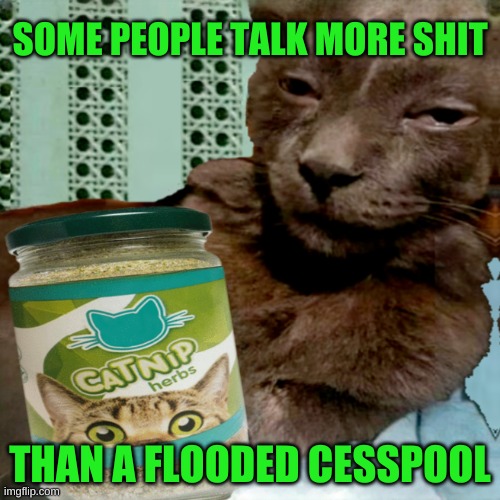 Shit Poster 4 Lyfe | SOME PEOPLE TALK MORE SHIT; THAN A FLOODED CESSPOOL | image tagged in ship osta 4 lyfe,talking shit,poop,bad breath,smelly,what if i told you | made w/ Imgflip meme maker