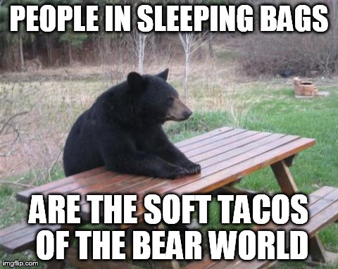 Bad Luck Bear | PEOPLE IN SLEEPING BAGS ARE THE SOFT TACOS OF THE BEAR WORLD | image tagged in memes,bad luck bear | made w/ Imgflip meme maker