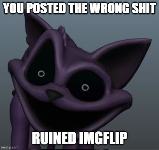 delet this | YOU POSTED THE WRONG SHIT; RUINED IMGFLIP | image tagged in live catnap reaction | made w/ Imgflip meme maker