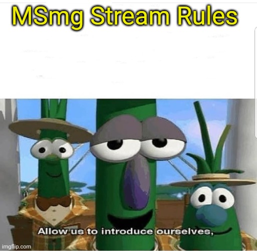 Allow us to introduce ourselves | MSmg Stream Rules | image tagged in allow us to introduce ourselves | made w/ Imgflip meme maker