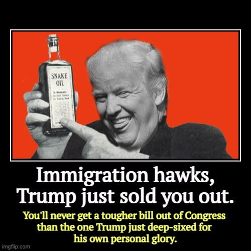 Immigration hawks, Trump just sold you out. | You'll never get a tougher bill out of Congress 
than the one Trump just deep-sixed for 
his o | image tagged in funny,demotivationals,trump,betrayal,immigration,congress | made w/ Imgflip demotivational maker