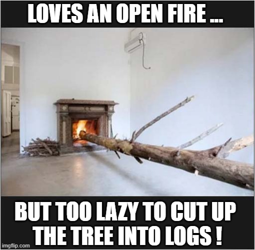 When You Have A 'That'll Do' Attitude To Life ! | LOVES AN OPEN FIRE ... BUT TOO LAZY TO CUT UP
 THE TREE INTO LOGS ! | image tagged in fires,tree,logs,lazy | made w/ Imgflip meme maker