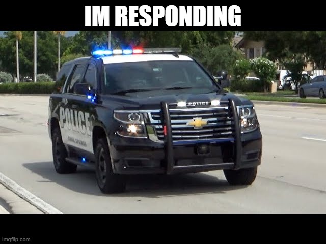 police car responding | IM RESPONDING | image tagged in police car responding | made w/ Imgflip meme maker
