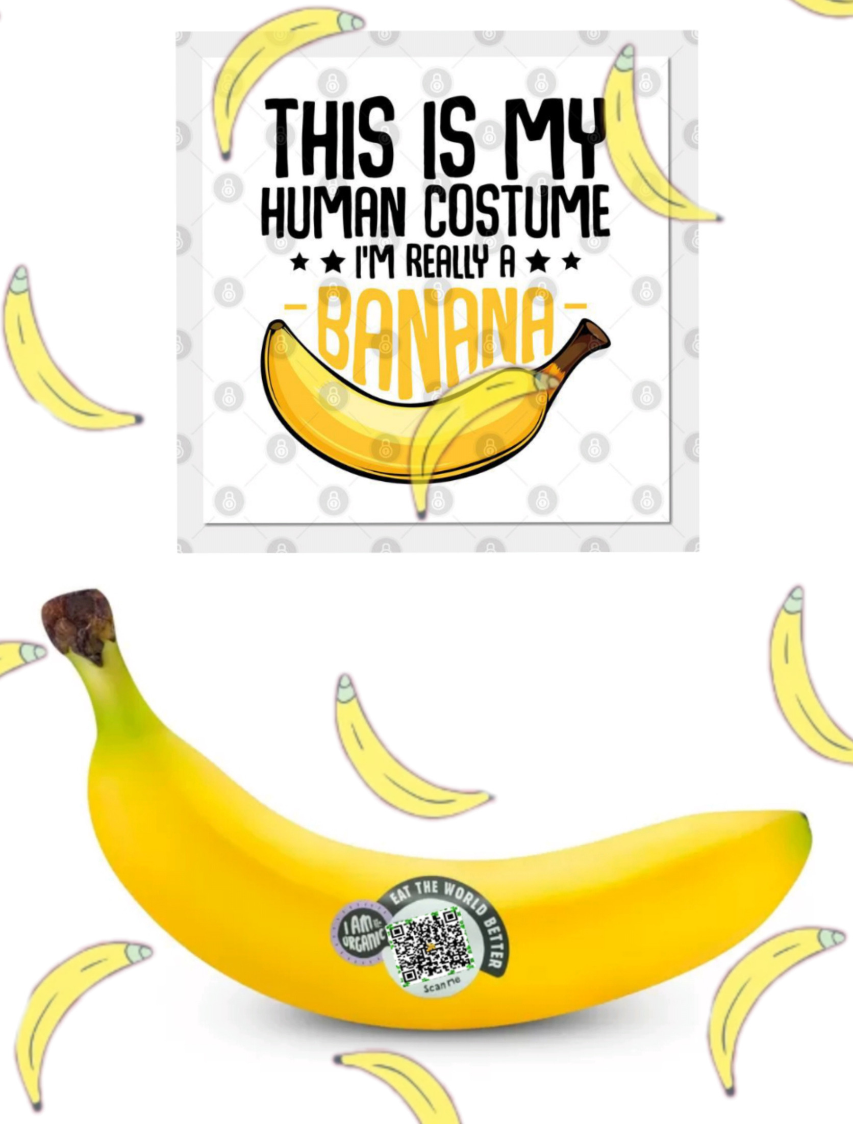 This is my human costume (I'm really a BANANA) Blank Meme Template
