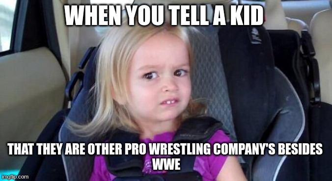 I believed it until I looked up aew | WHEN YOU TELL A KID; THAT THEY ARE OTHER PRO WRESTLING COMPANY'S BESIDES 
WWE | image tagged in wtf girl,wwe | made w/ Imgflip meme maker