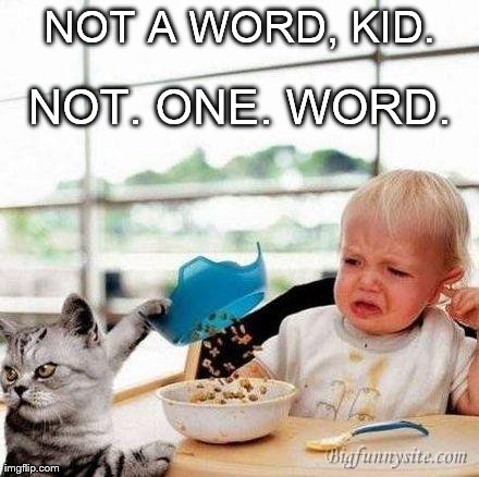 Not One Word | NOT A WORD, KID. NOT. ONE. WORD. | image tagged in memes,funny,cats,baby | made w/ Imgflip meme maker