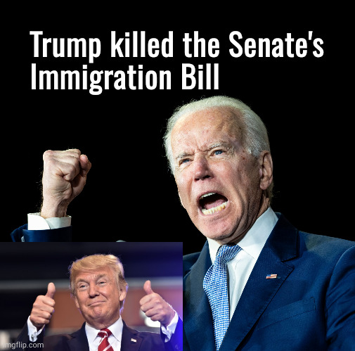 Trump killed the Senate Immigration Bill | Trump killed the Senate's
Immigration Bill | image tagged in joe biden's fist,trump | made w/ Imgflip meme maker